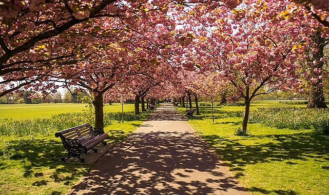 Exploring the Most Beautiful City Parks in the World - Dünya - Kamu Memuru